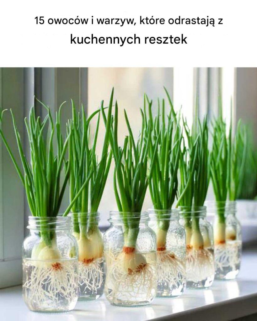 To_jest_naprawd___wietne To_jest_naprawd___wietne