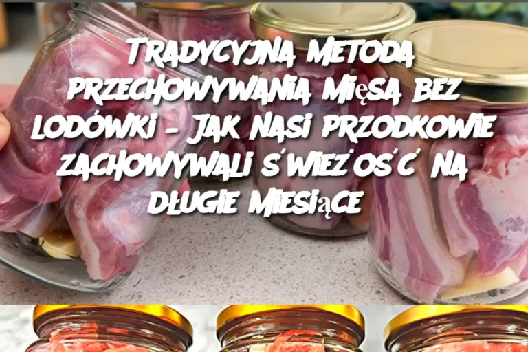Tradycyjna_metoda_przechowywania_mi_sa_bez_lod_wki___Jak_nasi_przodkowie_zachowywali__wie_o___na_d_ugie_miesi_ce_-1