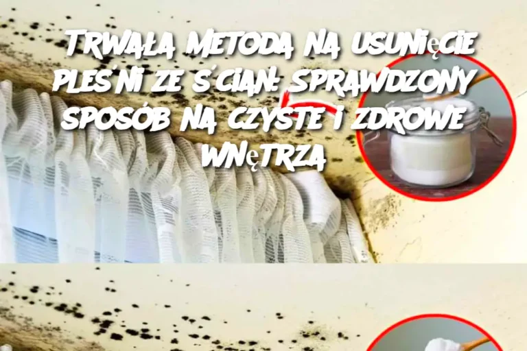 Trwa_a_metoda_na_usuni_cie_ple_ni_ze__cian__Sprawdzony_spos_b_na_czyste_i_zdrowe_wn_trza