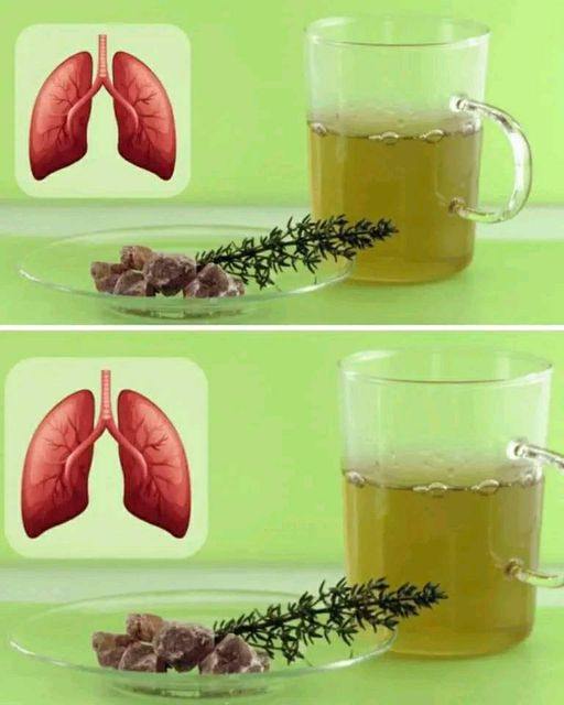 Tymianek_niszczy_infekcje_gard_a__gryp___zwalcza_infekcje_dr_g_oddechowych__-3 Tymianek_niszczy_infekcje_gard_a__gryp___zwalcza_infekcje_dr_g_oddechowych__-3