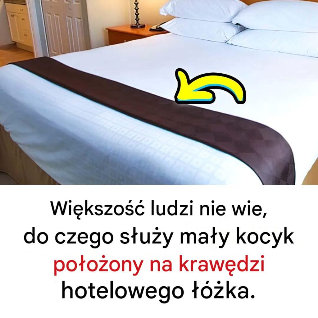 Wi_kszo___Ludzi_Nie_Wie__Do_Czego_S_u_y_Ma_y_Kocyk_Po_o_ony_na_Kraw_dzi_Hotelowego____ka Wi_kszo___Ludzi_Nie_Wie__Do_Czego_S_u_y_Ma_y_Kocyk_Po_o_ony_na_Kraw_dzi_Hotelowego____ka