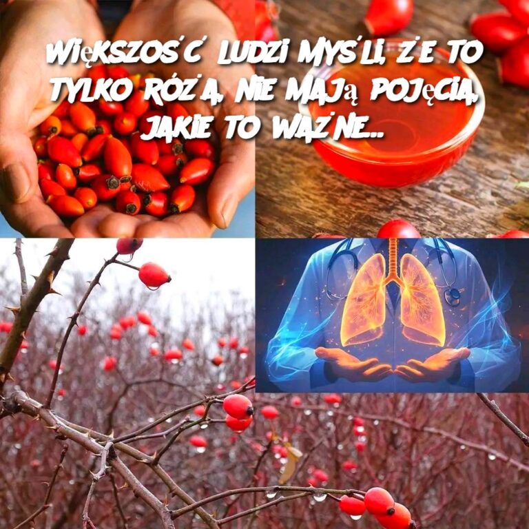 Wi_kszo___ludzi_my_li___e_to_tylko_r__a__nie_maj__poj_cia__jakie_to_wa_ne_-1