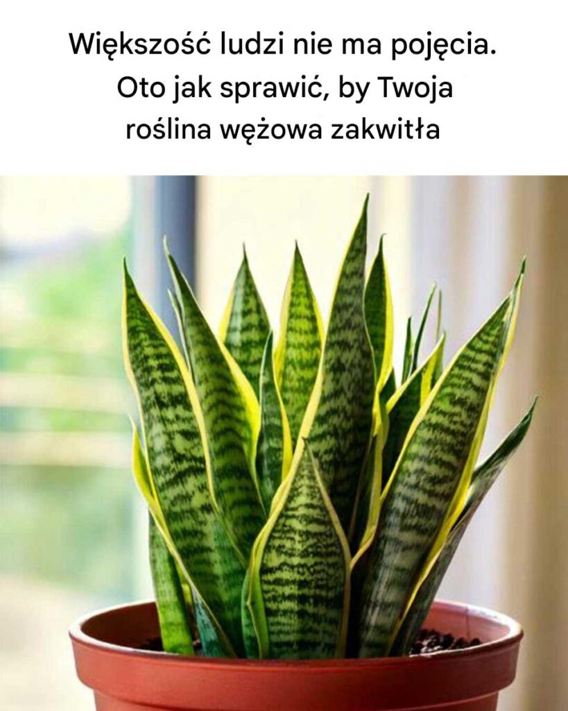 Wi_kszo___ludzi_naprawd__nie_ma_poj_cia Wi_kszo___ludzi_naprawd__nie_ma_poj_cia