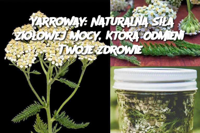 Yarroway__Naturalna_Si_a_Zio_owej_Mocy__Kt_ra_Odmieni_Twoje_Zdrowie