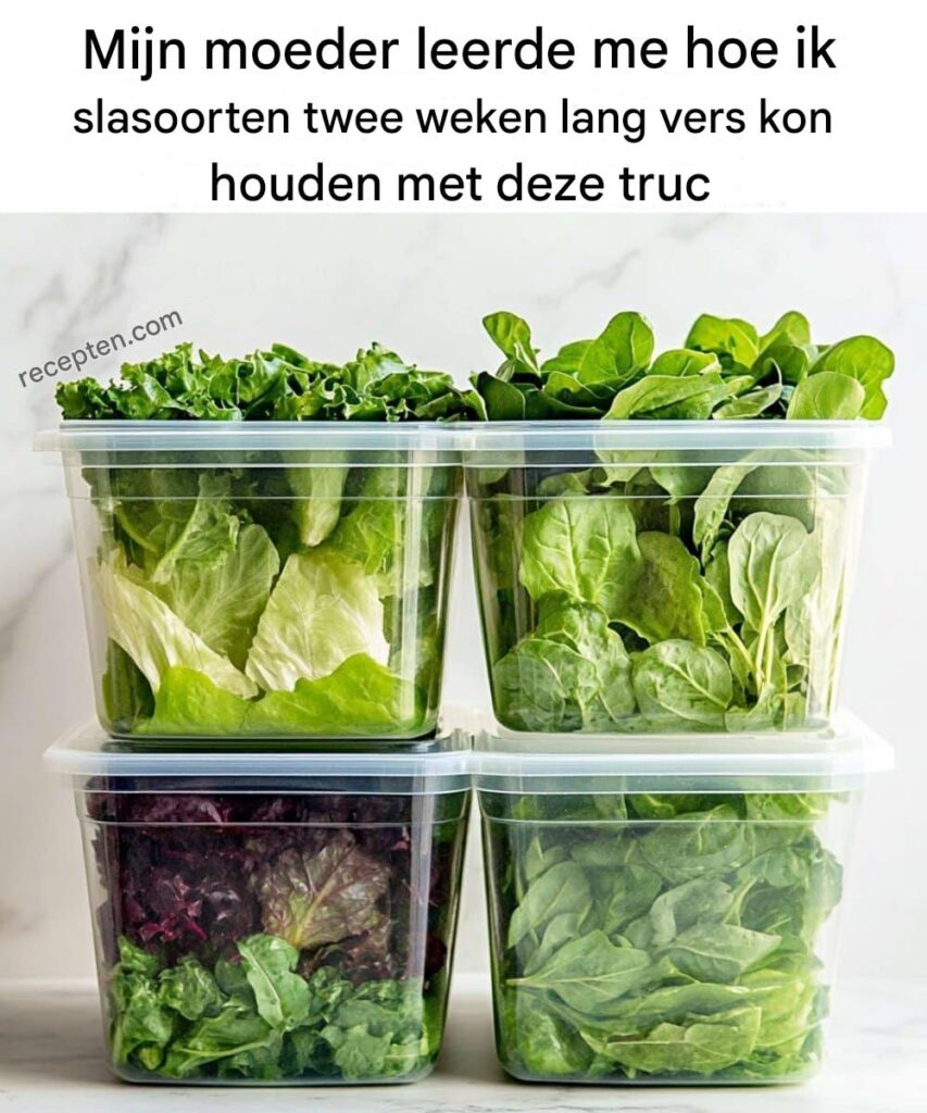 You_Can_Extend_the_Shelf_Life_of_Salad_Greens__Here_s_the_Best_Way_to_Do_It