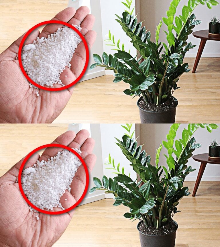 Za_pomoc__jednej__y_ki_sto_owej_tego_sk_adnika_eksplodujesz_kwitnienie_ro_lin-1