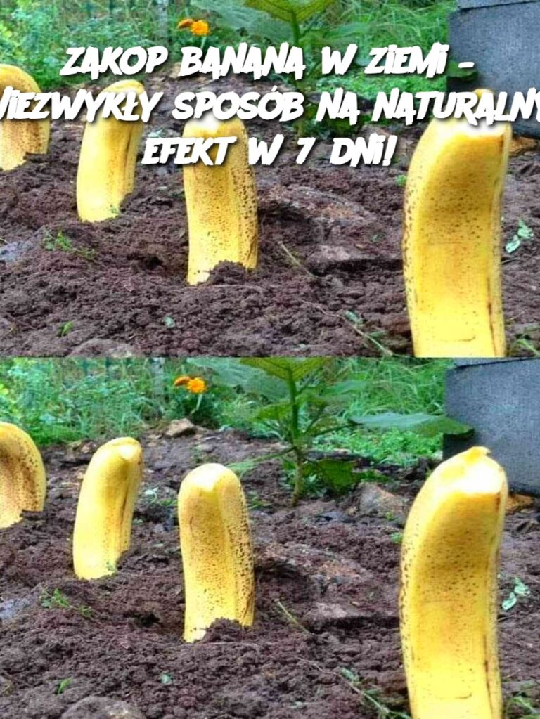 Zakop_banana_w_ziemi___Niezwyk_y_spos_b_na_naturalny_efekt_w_7_dni_