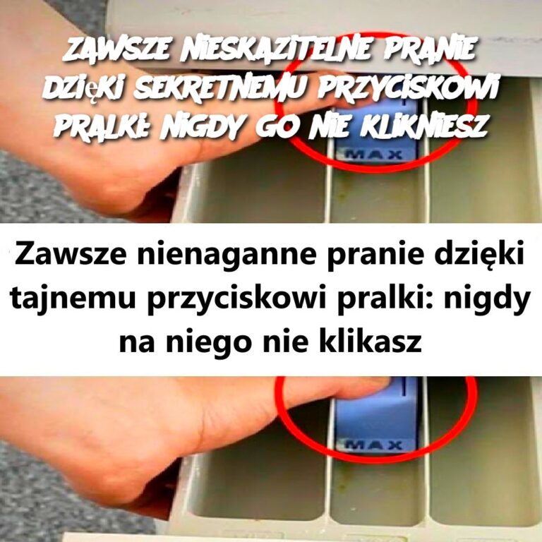 Zawsze_nieskazitelne_pranie_dzi_ki_sekretnemu_przyciskowi_pralki__nigdy_go_nie_klikniesz-2