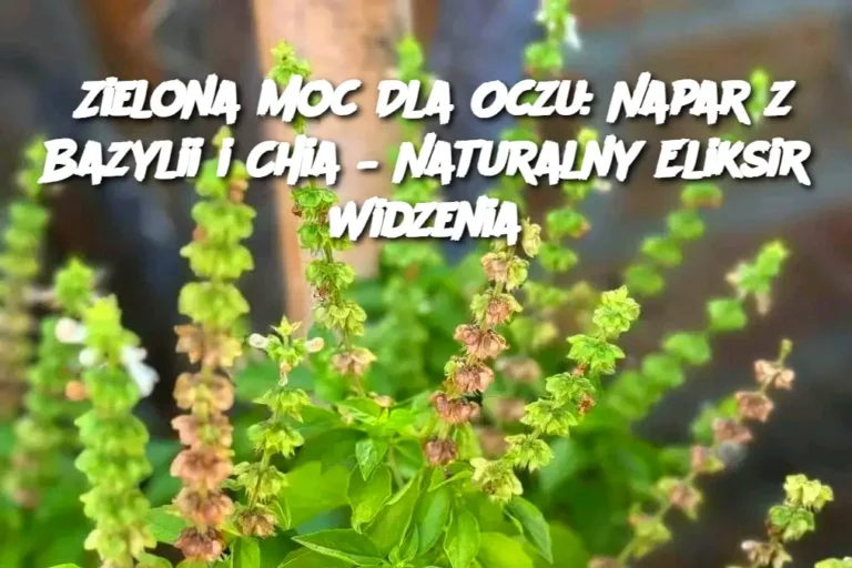 Zielona_Moc_Dla_Oczu__Napar_z_Bazylii_i_Chia___Naturalny_Eliksir_Widzenia-1