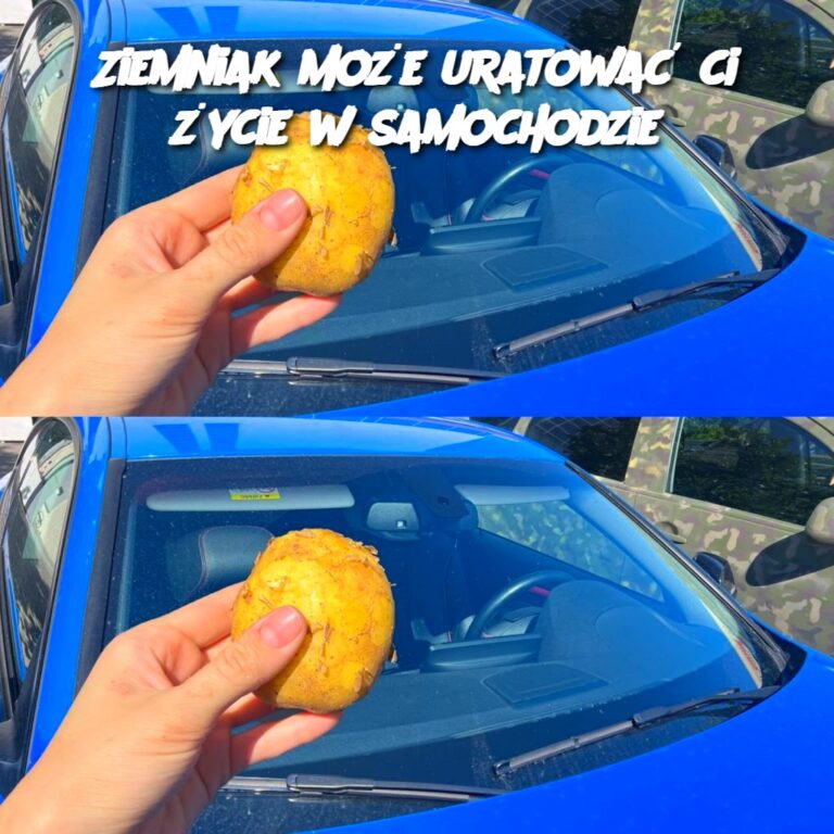 Ziemniak_mo_e_uratowa__ci__ycie_w_samochodzie
