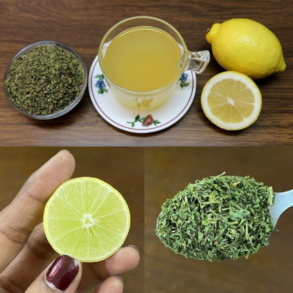 wietny_spos_b_na_wzmocnienie_uk_adu_odporno_ciowego_i_oddechowego_dzi_ki_herbacie_z_oregano_i_cytryn_ wietny_spos_b_na_wzmocnienie_uk_adu_odporno_ciowego_i_oddechowego_dzi_ki_herbacie_z_oregano_i_cytryn_