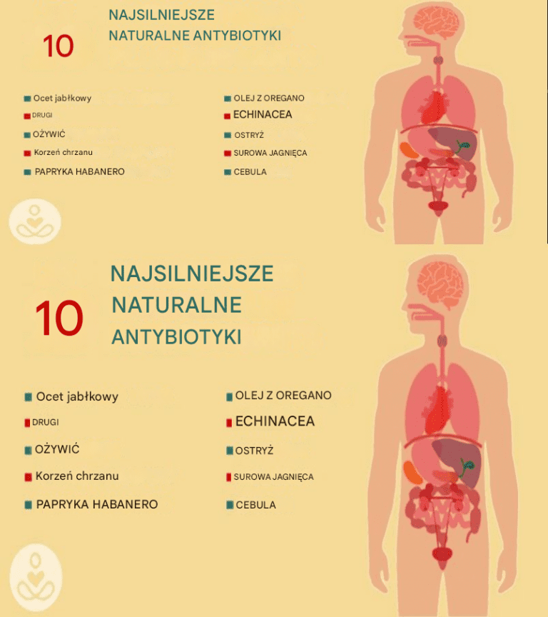 10_najskuteczniejszych_naturalnych_antybiotyk_w_znanych_ludzko_ci 10_najskuteczniejszych_naturalnych_antybiotyk_w_znanych_ludzko_ci