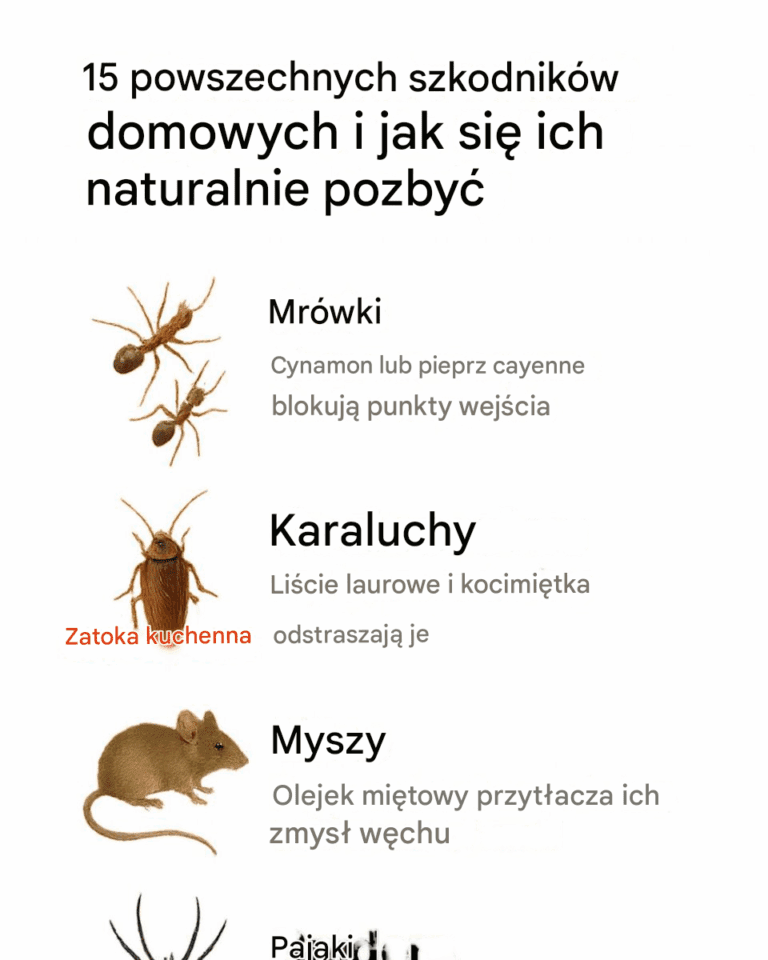 15_powszechnych_szkodnik_w_domowych_i_jak_si__ich_naturalnie_pozby_
