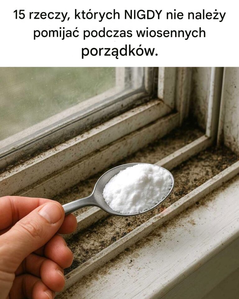 15_rzeczy__kt_rych_nigdy_nie_nale_y_pomija__podczas_wiosennych_porz_dk_w