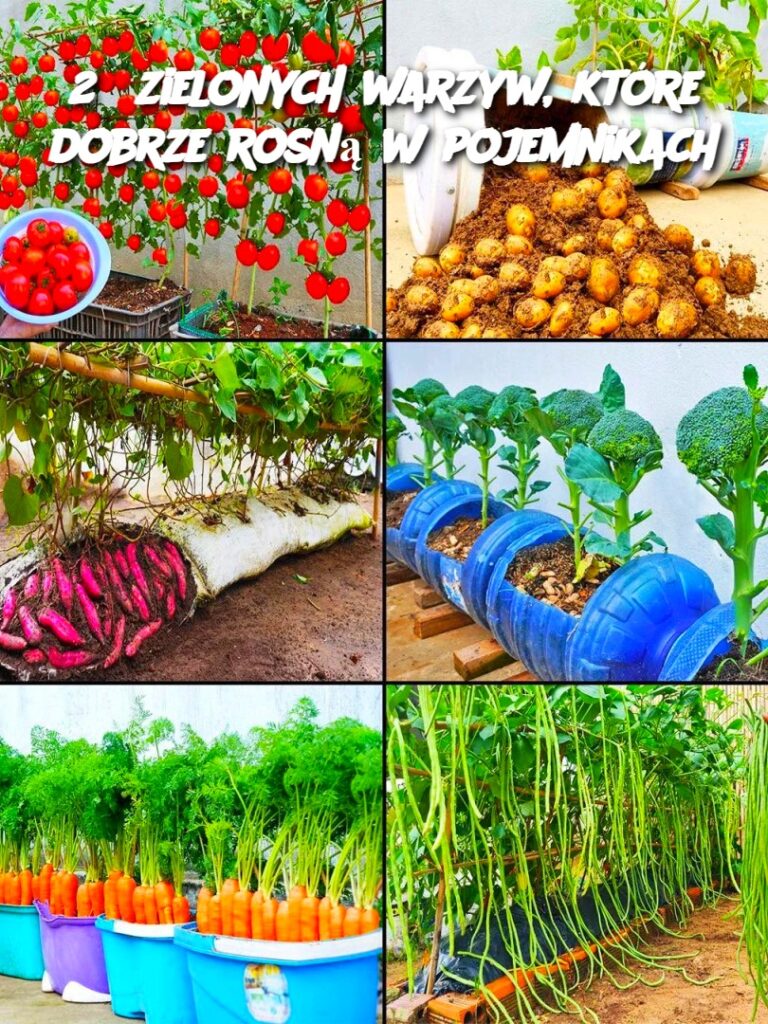 25_zielonych_warzyw__kt_re_dobrze_rosn__w_pojemnikach 25_zielonych_warzyw__kt_re_dobrze_rosn__w_pojemnikach