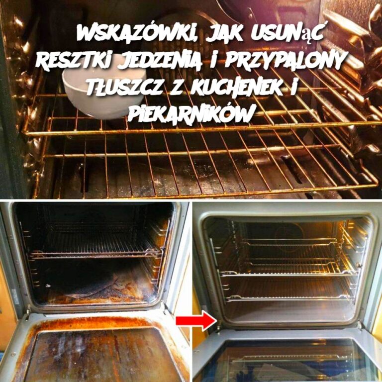 3_wskaz_wki__jak_usun___resztki_jedzenia_i_przypalony_t_uszcz_z_kuchenek_i_piekarnik_w-1
