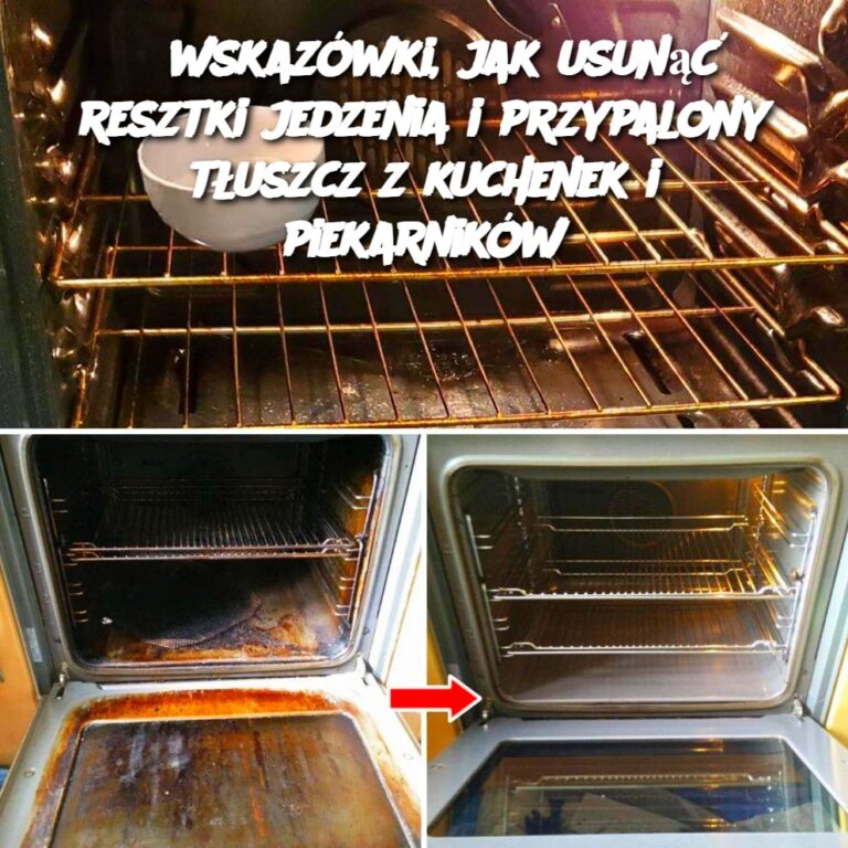 3_wskaz_wki__jak_usun___resztki_jedzenia_i_przypalony_t_uszcz_z_kuchenek_i_piekarnik_w