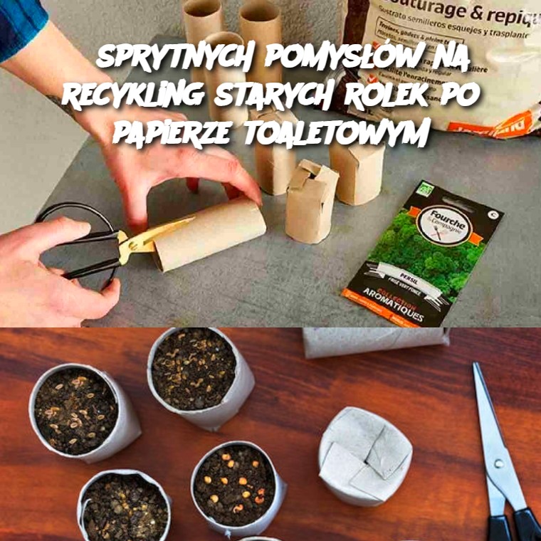 6_sprytnych_pomys__w_na_recykling_starych_rolek_po_papierze_toaletowym-1 6_sprytnych_pomys__w_na_recykling_starych_rolek_po_papierze_toaletowym-1