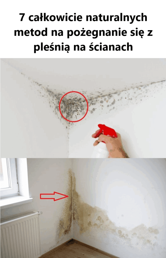 7_ca_kowicie_naturalnych_metod_na_po_egnanie_si__z_ple_ni__na__cianach 7_ca_kowicie_naturalnych_metod_na_po_egnanie_si__z_ple_ni__na__cianach
