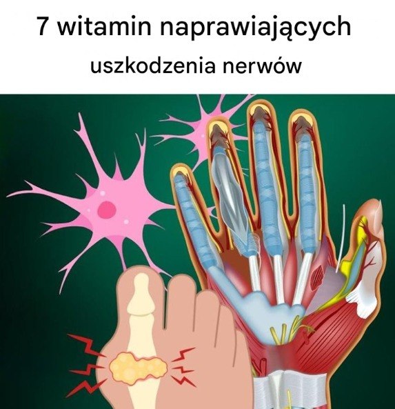 7_niesamowitych_witamin_naprawiaj_cych_uszkodzenia_nerw_w-2 7_niesamowitych_witamin_naprawiaj_cych_uszkodzenia_nerw_w-2