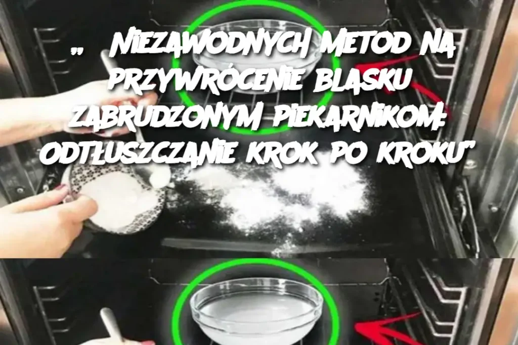 8_Niezawodnych_metod_na_przywr_cenie_blasku_zabrudzonym_piekarnikom__Odt_uszczanie_krok_po_kroku_ 8_Niezawodnych_metod_na_przywr_cenie_blasku_zabrudzonym_piekarnikom__Odt_uszczanie_krok_po_kroku_