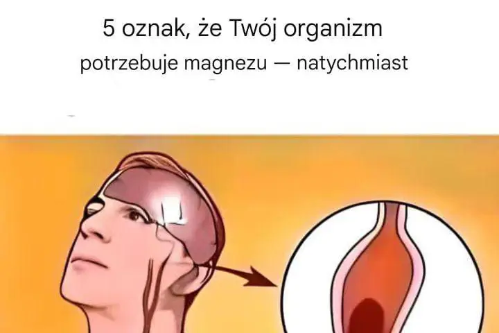 Ale_5_typowych_misek_ma_pokryw__magnezow_ Ale_5_typowych_misek_ma_pokryw__magnezow_