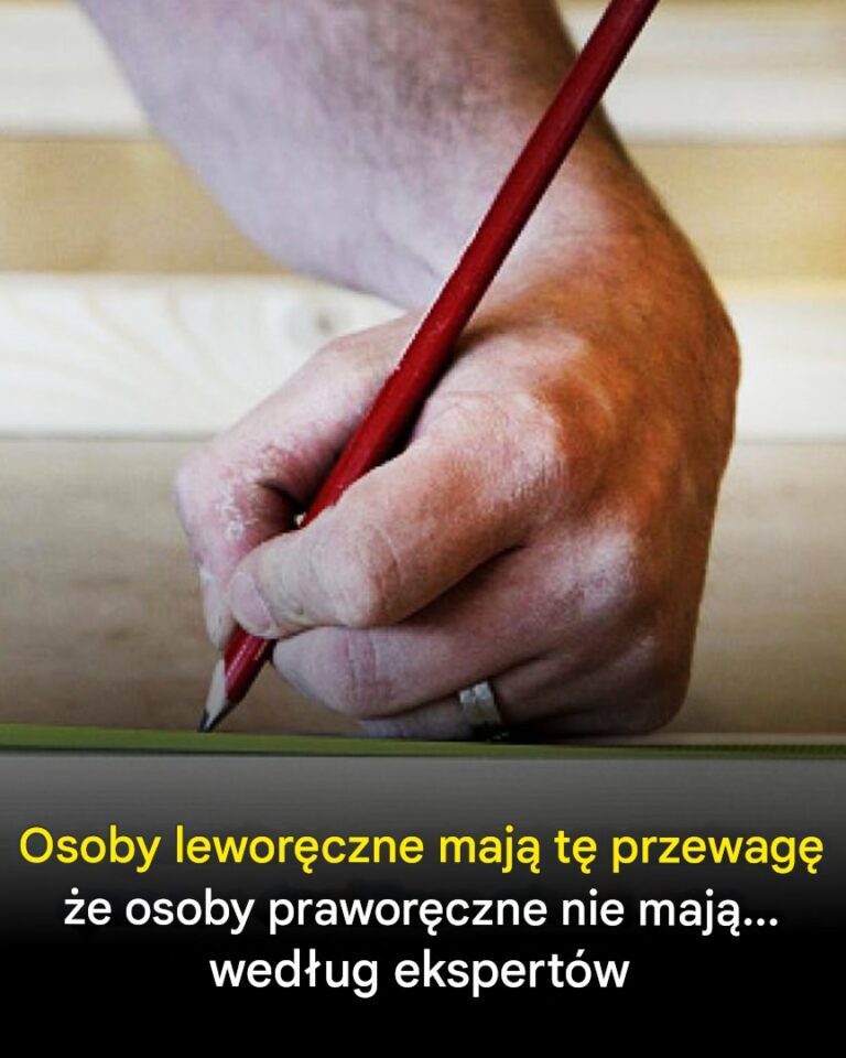 Co_maj__osoby_lewor_czne__a_czego_nie_maj__osoby_prawor_czne__wed_ug_ekspert_w