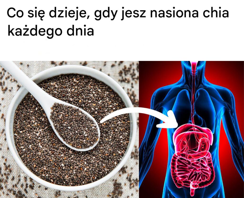 Codzienna_porcja_zdrowia__Co_zyskujesz__jedz_c_nasiona_chia_ka_dego_dnia_ Codzienna_porcja_zdrowia__Co_zyskujesz__jedz_c_nasiona_chia_ka_dego_dnia_