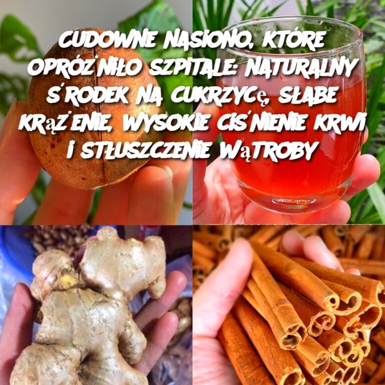 Cudowne_nasiono__kt_re_opr__ni_o_szpitale__naturalny__rodek_na_cukrzyc___s_abe_kr__enie__wysokie_ci_nienie_krwi_i_st_uszczenie_w_troby