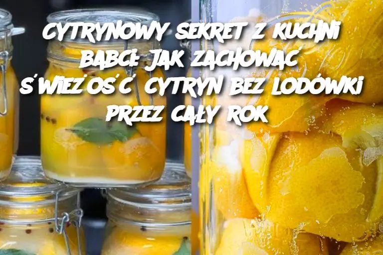 Cytrynowy_sekret_z_kuchni_babci__Jak_zachowa___wie_o___cytryn_bez_lod_wki_przez_ca_y_rok Cytrynowy_sekret_z_kuchni_babci__Jak_zachowa___wie_o___cytryn_bez_lod_wki_przez_ca_y_rok
