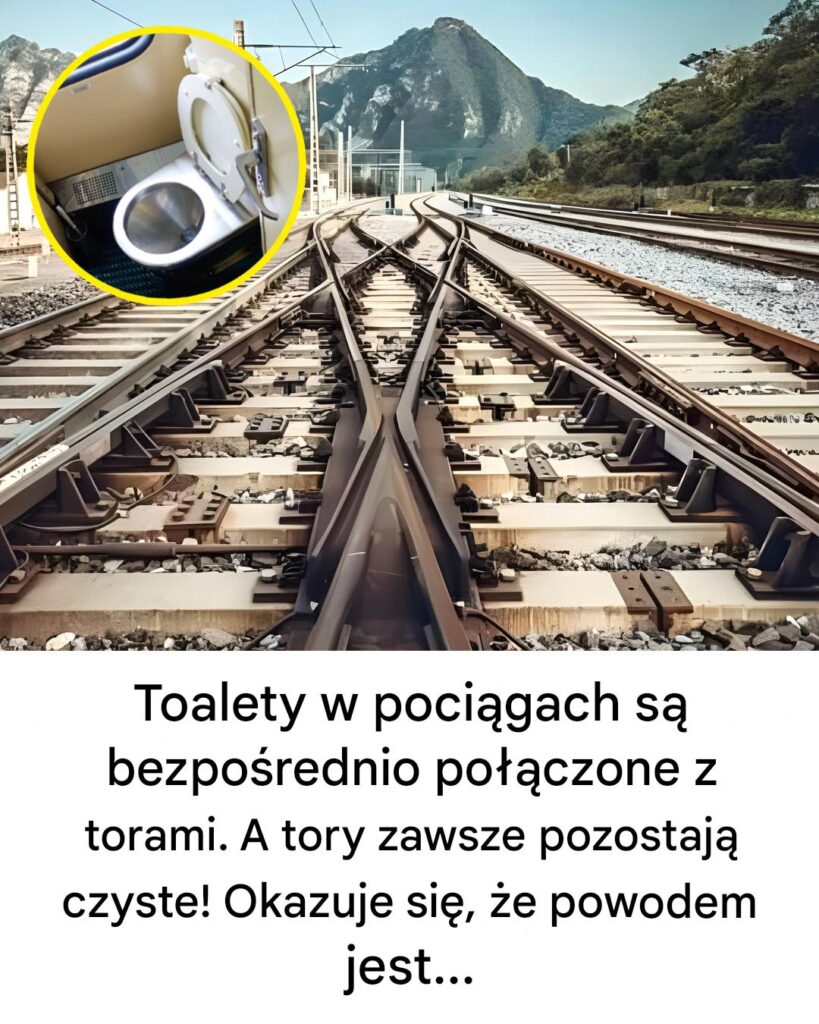 Dlaczego_tory_kolejowe_zawsze_pozostaj__czyste_ Dlaczego_tory_kolejowe_zawsze_pozostaj__czyste_