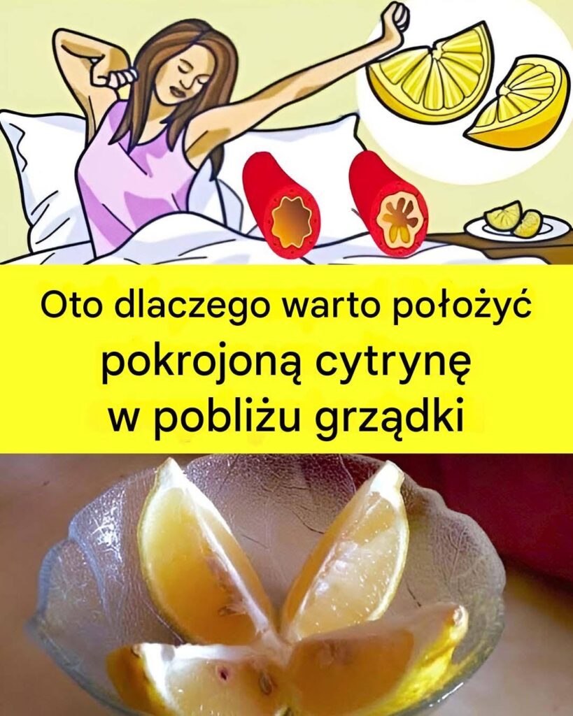 Dlaczego_warto_po_o_y__przekrojon__cytryn__przy____ku_-1 Dlaczego_warto_po_o_y__przekrojon__cytryn__przy____ku_-1
