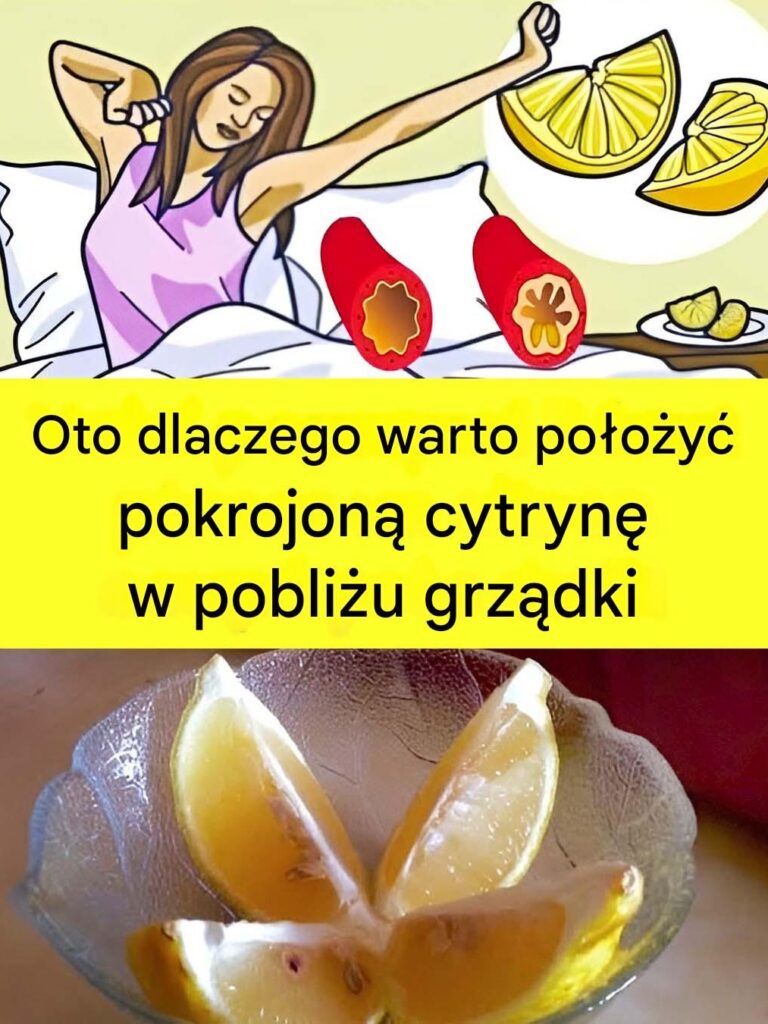 Dlaczego_warto_po_o_y__przekrojon__cytryn__przy____ku_ Dlaczego_warto_po_o_y__przekrojon__cytryn__przy____ku_