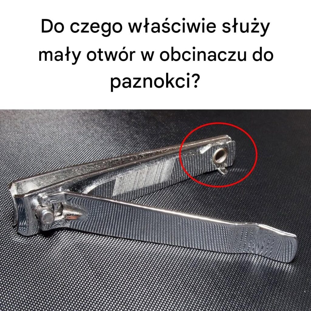 Do_czego_w_a_ciwie_s_u_y_ma_y_otw_r_w_obcinaczu_do_paznokci_ Do_czego_w_a_ciwie_s_u_y_ma_y_otw_r_w_obcinaczu_do_paznokci_