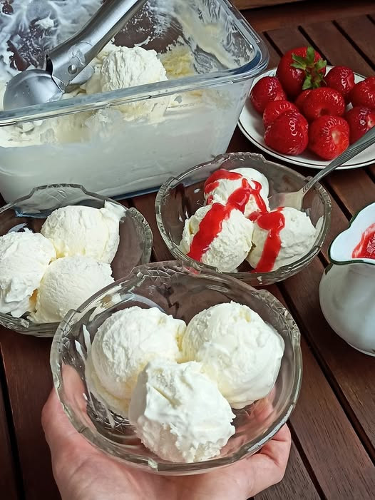 Domowe_lody_3_sk_adnikowe Domowe_lody_3_sk_adnikowe