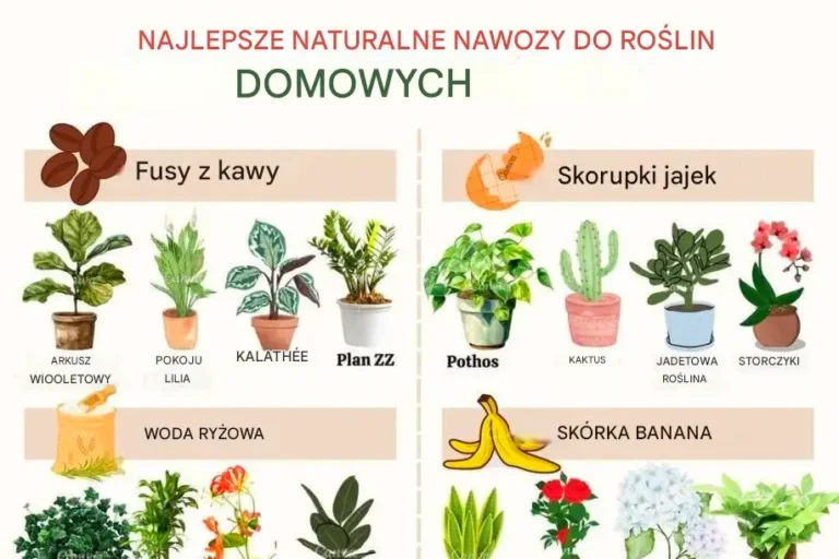 Domowy_zastrzyk_zielonej_energii__naturalne_nawozy__kt_re_pokochaj__Twoje_ro_liny