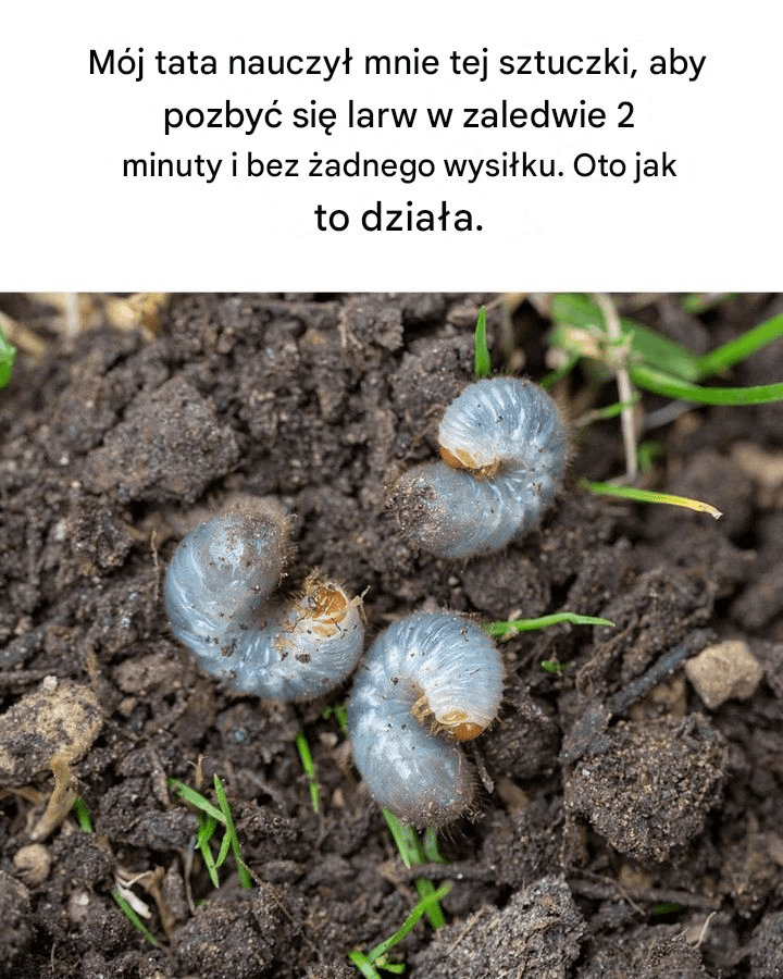 Genialne__Szkoda___e___nie_przeczyta_em_tego_wcze_niej_-2 Genialne__Szkoda___e___nie_przeczyta_em_tego_wcze_niej_-2