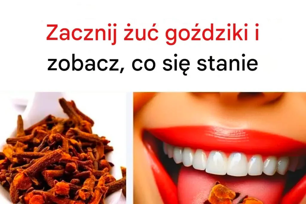 Go_dziki_na_co_dzie____ma_y_rytua___wielka_zmiana__Co_daje_codzienne__ucie_tego_aromatycznego_kwiatu_ Go_dziki_na_co_dzie____ma_y_rytua___wielka_zmiana__Co_daje_codzienne__ucie_tego_aromatycznego_kwiatu_