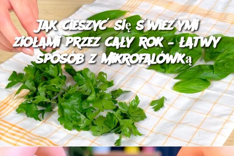 Jak_cieszy__si___wie_ymi_zio_ami_przez_ca_y_rok____atwy_spos_b_z_mikrofal_wk_