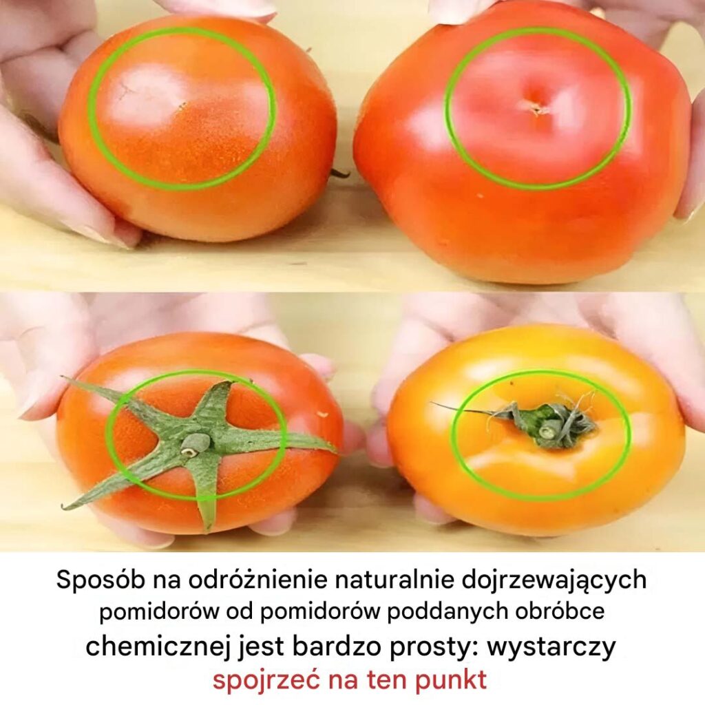 Jak_odr__ni__naturalnie_dojrza_e_pomidory Jak_odr__ni__naturalnie_dojrza_e_pomidory
