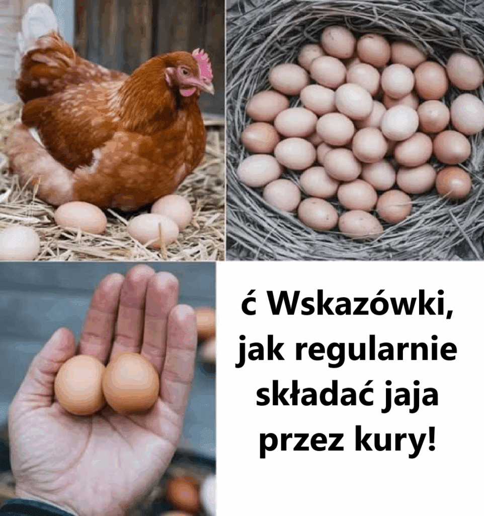 Jak_regularnie_uk_ada__kursy__9_sprawdzonych_wskaz_wek_dotycz_cych_sta_ego_dostaw Jak_regularnie_uk_ada__kursy__9_sprawdzonych_wskaz_wek_dotycz_cych_sta_ego_dostaw