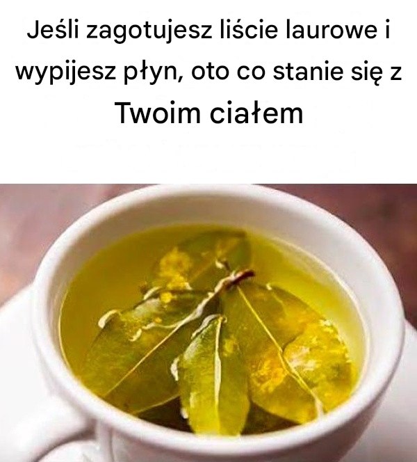 Je_li_zagotujesz_li_cie_laurowe_i_wypijesz_p_yn__oto_co_stanie_si__z_twoim_cia_em Je_li_zagotujesz_li_cie_laurowe_i_wypijesz_p_yn__oto_co_stanie_si__z_twoim_cia_em