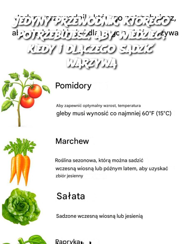 Jedyny_przewodnik__kt_rego_potrzebujesz__aby_wiedzie___kiedy_i_dlaczego_sadzi__warzywa Jedyny_przewodnik__kt_rego_potrzebujesz__aby_wiedzie___kiedy_i_dlaczego_sadzi__warzywa