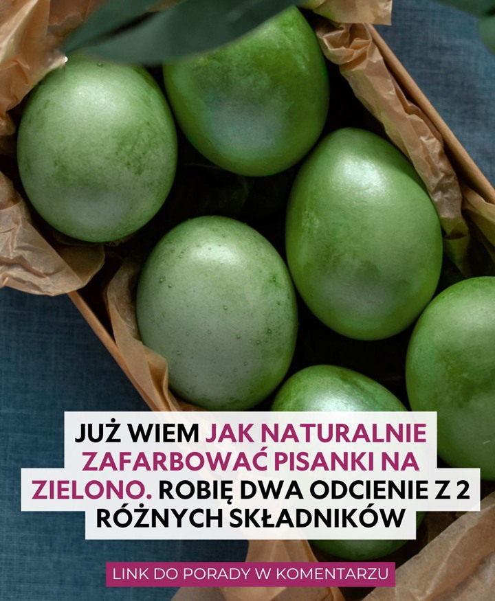 Ju__wiem_jak_naturalnie_zafarbowa__pisanki_na_zielono__Robi__dwa_odcienie_z_2_r__nych_sk_adnik_w Ju__wiem_jak_naturalnie_zafarbowa__pisanki_na_zielono__Robi__dwa_odcienie_z_2_r__nych_sk_adnik_w