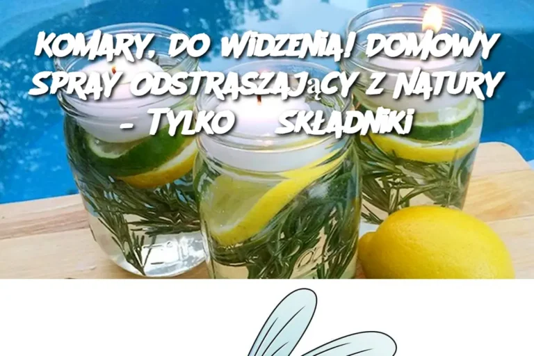 Komary__Do_Widzenia__Domowy_Spray_Odstraszaj_cy_z_Natury___Tylko_3_Sk_adniki