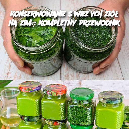 Konserwowanie__wie_ych_zi___na_zim___kompletny_przewodnik Konserwowanie__wie_ych_zi___na_zim___kompletny_przewodnik