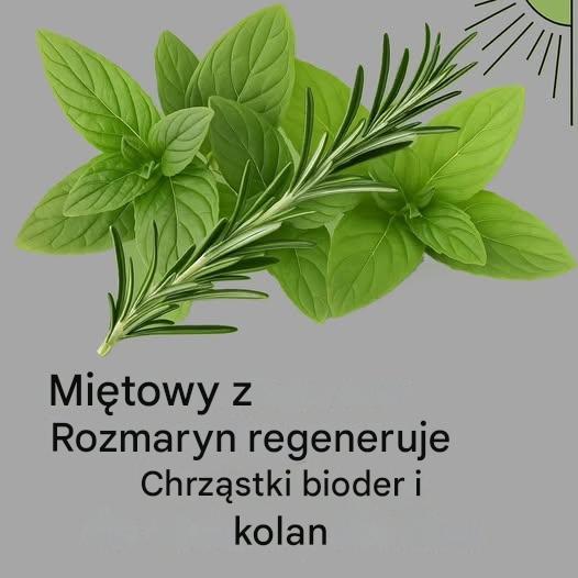 Korzy_ci_z_mi_ty_pieprzowej_i_rozmarynu__jak_stosowa__je_razem_w_spos_b_naturalny Korzy_ci_z_mi_ty_pieprzowej_i_rozmarynu__jak_stosowa__je_razem_w_spos_b_naturalny