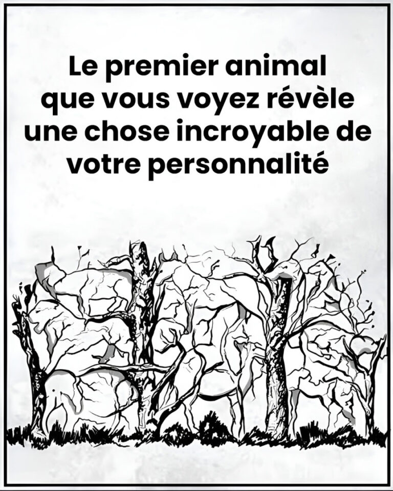 Le_premier_animal_que_vous_verrez_r_v_lera_des_choses_sur_votre_personnalit_