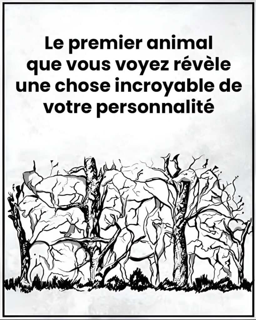 Le_premier_animal_que_vous_verrez_r_v_lera_des_choses_sur_votre_personnalit_ Le_premier_animal_que_vous_verrez_r_v_lera_des_choses_sur_votre_personnalit_
