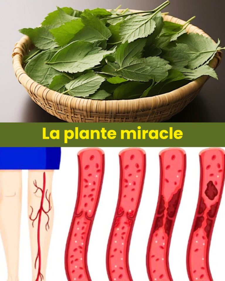 Li____kt_ry_obni_a_cukrzyc___ci_nienie_krwi__eliminuje_b_le_cia_a__obni_a_poziom_cholesterolu_i_poprawia_kr__enie_krwi-1